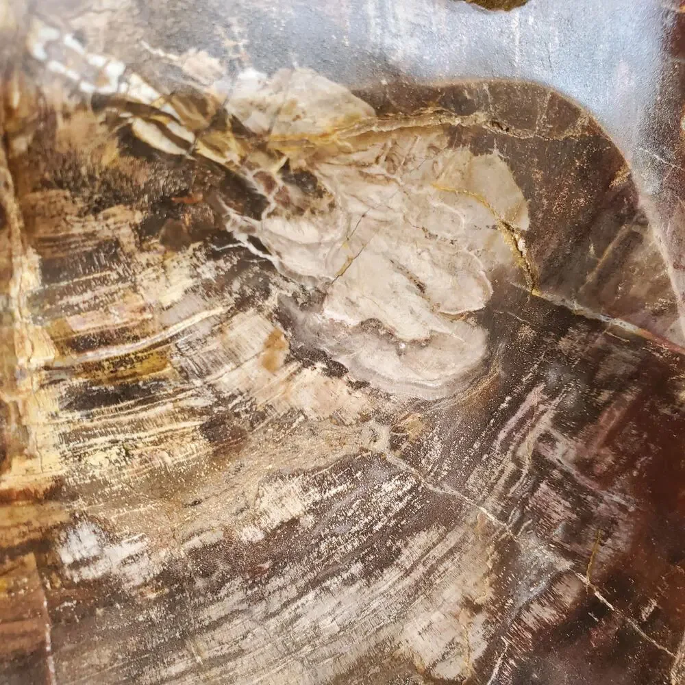 13lbs+ Red Brown XL Petrified Wood Fossilized Bowl 6210 grams